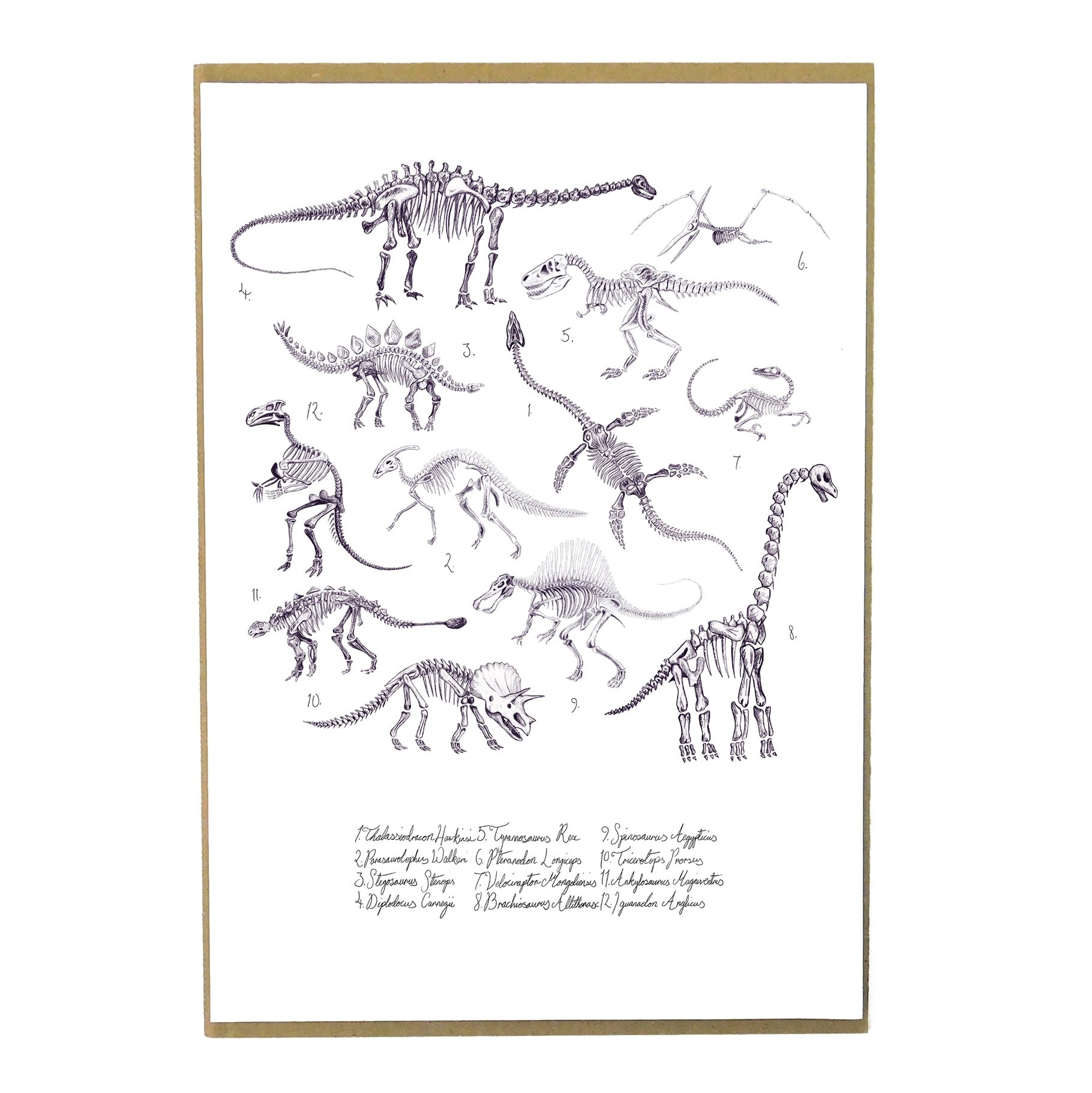Mesozoic Dinosaur Art Print Poster | A4 unframed | Also the Bison |