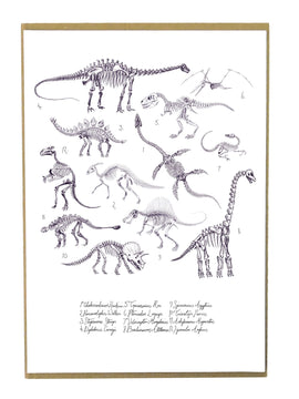 Mesozoic Dinosaur Art Print Poster | A4 unframed | Also the Bison |