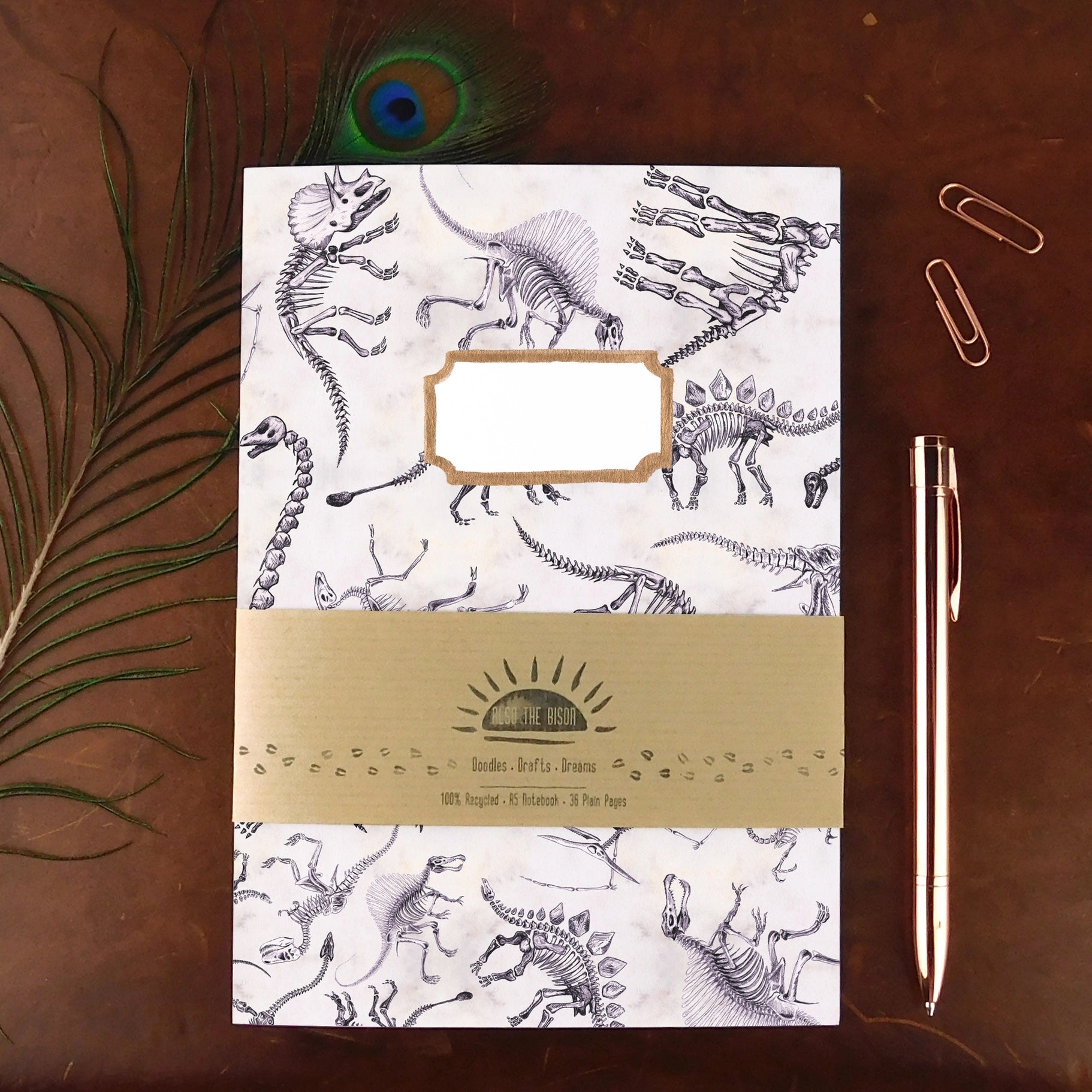Mesozoic Dinosaur Notebook | A5 Plain Notebook | Also the Bison |