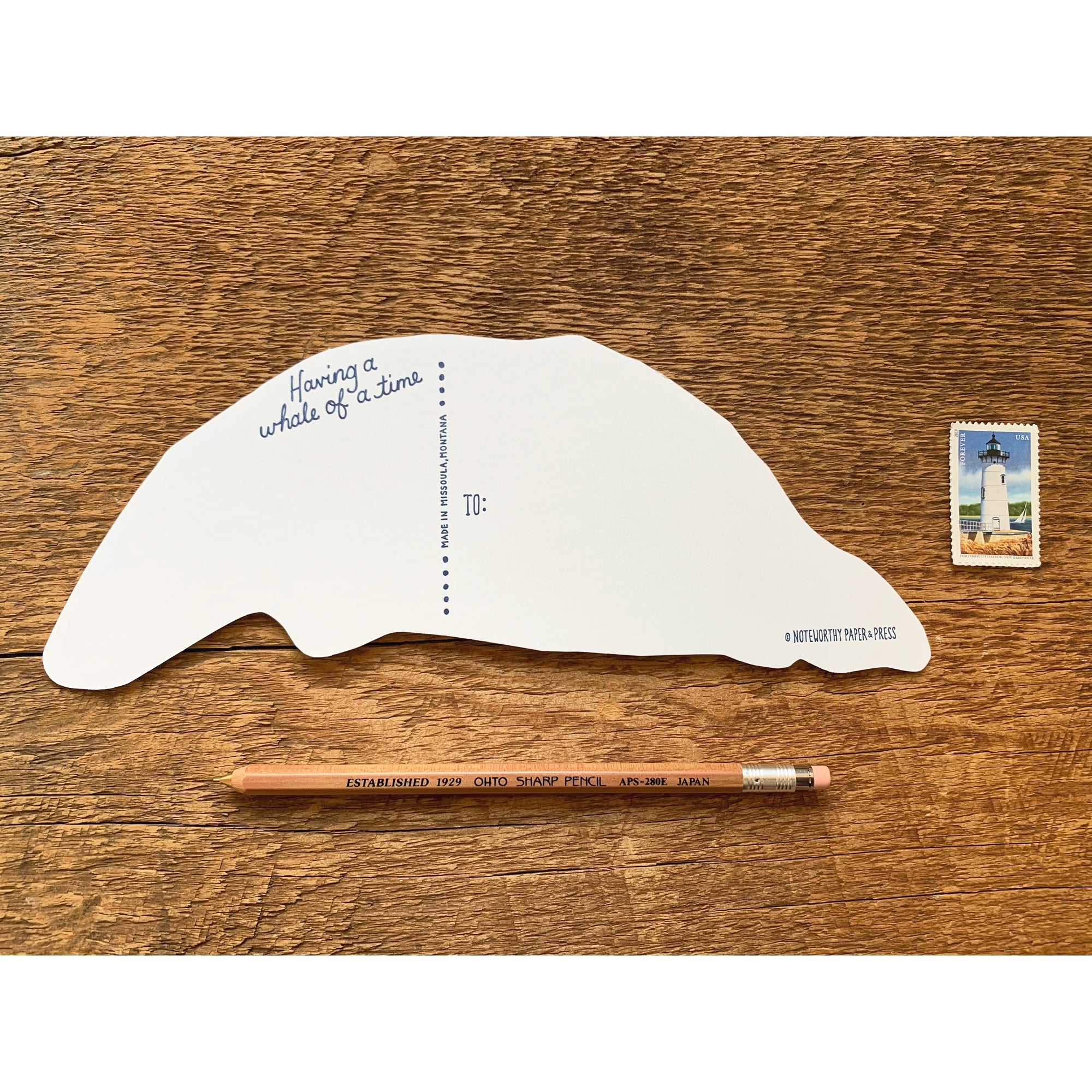 Grey Whale Postcard by Noteworthy Paper & Press - Harold&Charles
