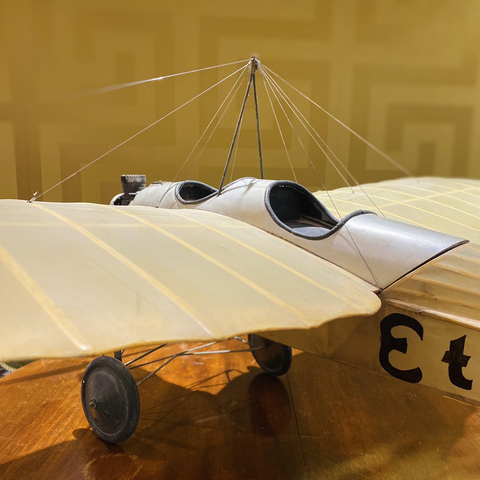 Etrich Taube Model Aircraft