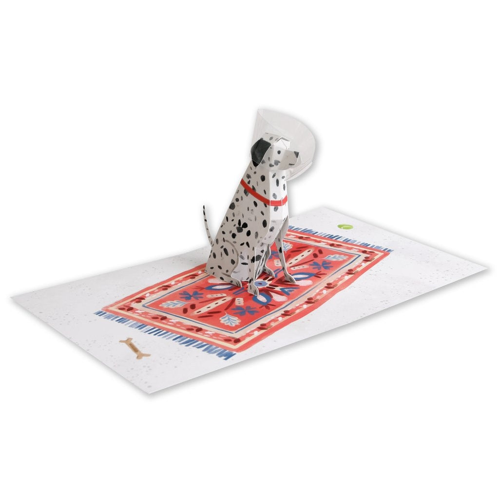 Dalmatian Dog Pop-up Feel Better Greeting Card UWP Luxe - Harold&Charles