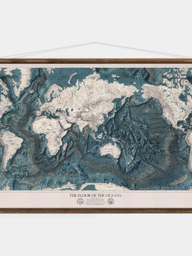 The World Relief - Wall Map