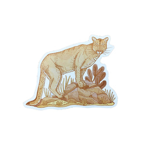 Mountain Lion Postcard by Noteworthy Paper & Press - Harold&Charles