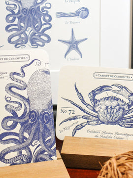 Card Octopus by L'Atelier Letterpress