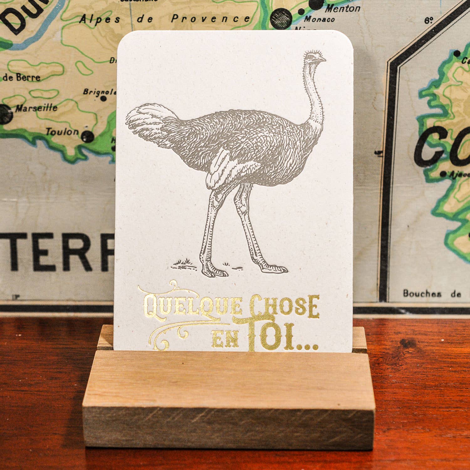 Greeting Card Something in You Ostrich by L'Atelier Letterpress - Harold&Charles